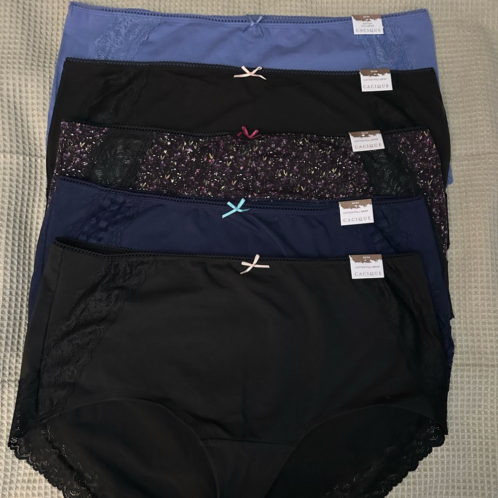 Lane Bryant Underwear